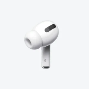 ear bud